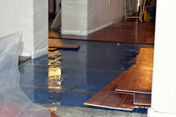 Professional Water Damage Restoration technician working in Pleasanton, TX